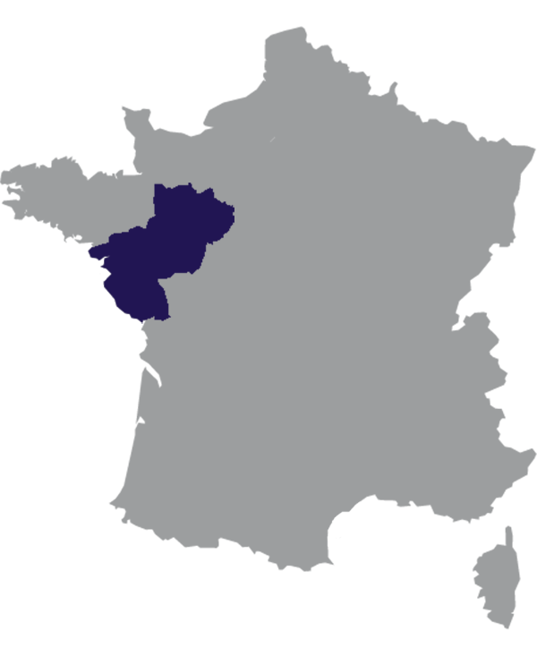 Landkaart Frankrijk grijs met regio Pays de la Loire donkerblauw op transparante achtergrond - 600 * 733 pixels
